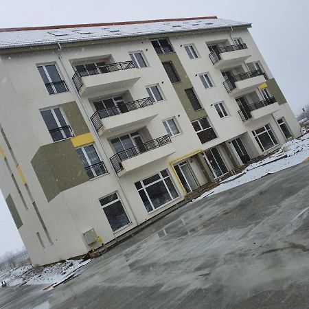 Luxury Apartment Satu Mare Exterior foto
