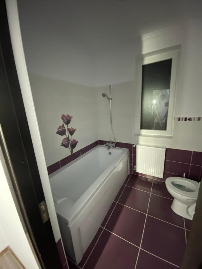 Luxury Apartment Satu Mare Exterior foto