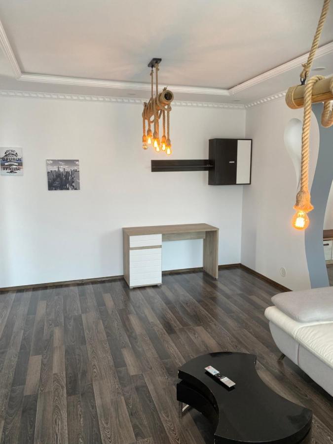 Luxury Apartment Satu Mare Exterior foto